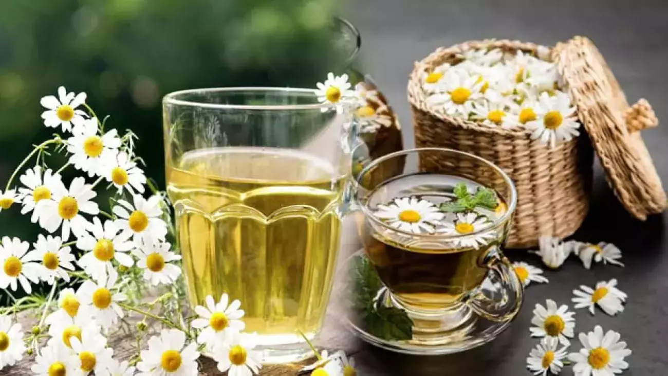 Papatya Çayı Açken Mi Tokken Mi İçilmeli? Metabolizmayı Hızlandırma Yöntemleri