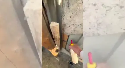 Annesiz Kalan Kuzunun Sahibine Koşması Sosyal Medyada Viral Oldu