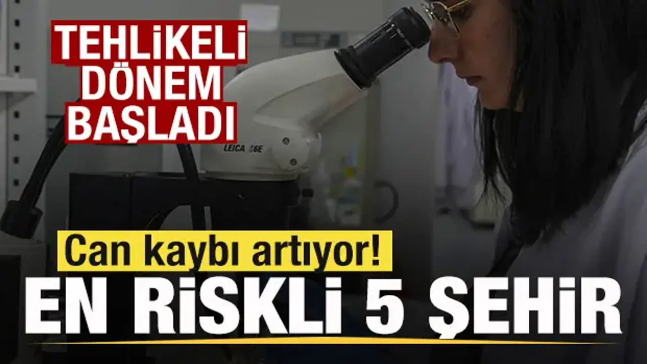 Kırım Kongo Kanamalı Ateşi Tehlikesi Artıyor: Uzmanlardan Uyarılar