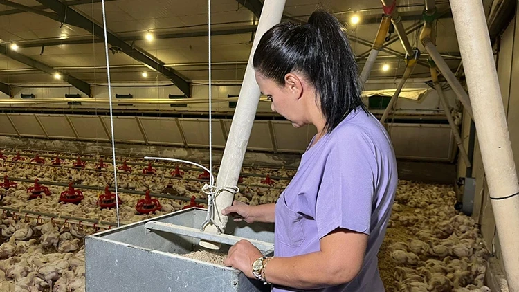 Eşinin Vefatı Sonrası Memuriyeti Bırakıp İşini Büyüttü