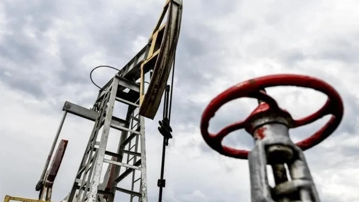 Petrol ithalatı temmuz ayında yüzde 6,9 oranında azaldı