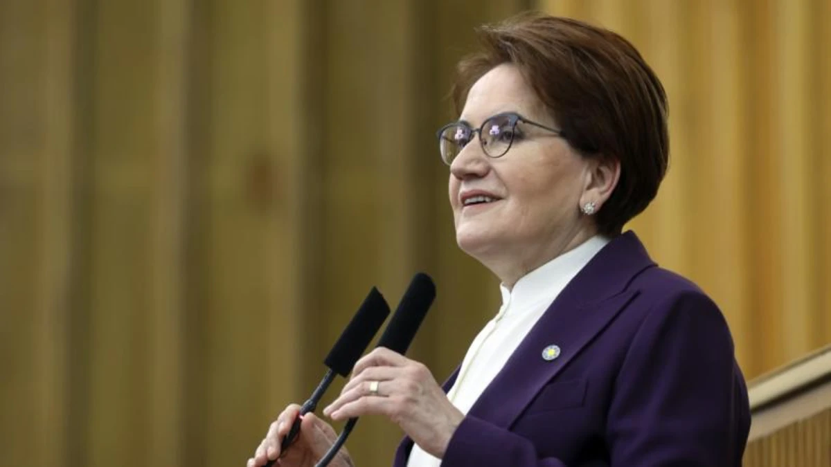 Meral Akşener Vakfı kuruldu: Logodaki motifin anlamı