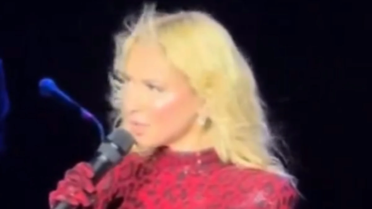 Hadise: Dekolte seksilikle ilgili değil, açıklama yaptı