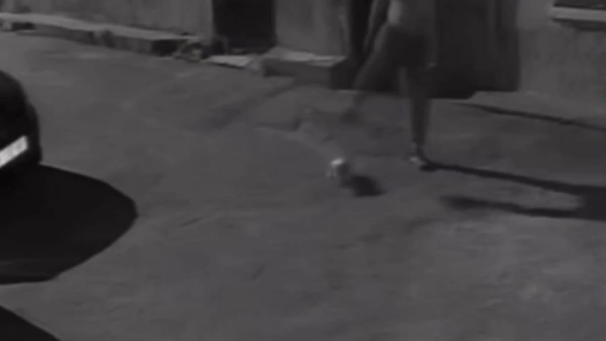 İzmir’de köpeğine tekme atan şüpheli kamerada