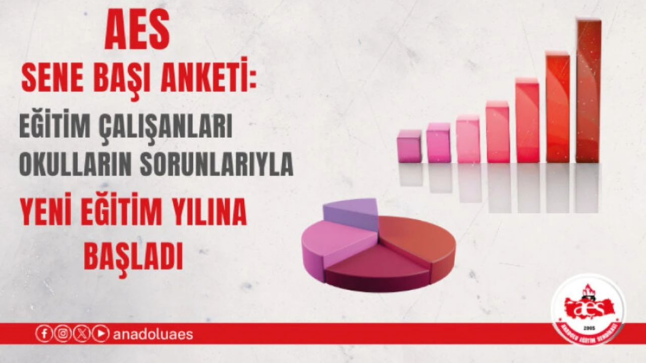 AES sene başı anketi: Okullarda sorunlar sürüyor