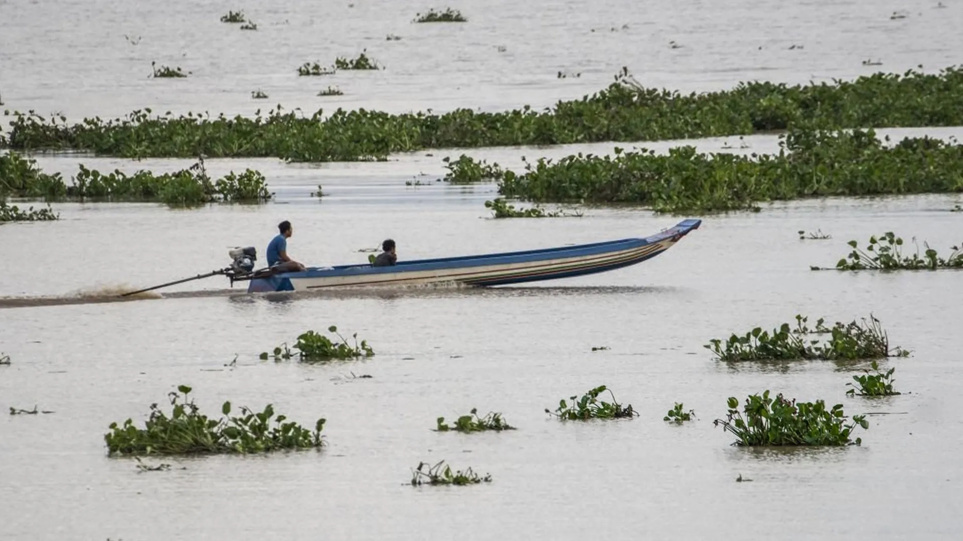 El Nino kuraklığı Asya’da küresel gıda krizini büyütüyor