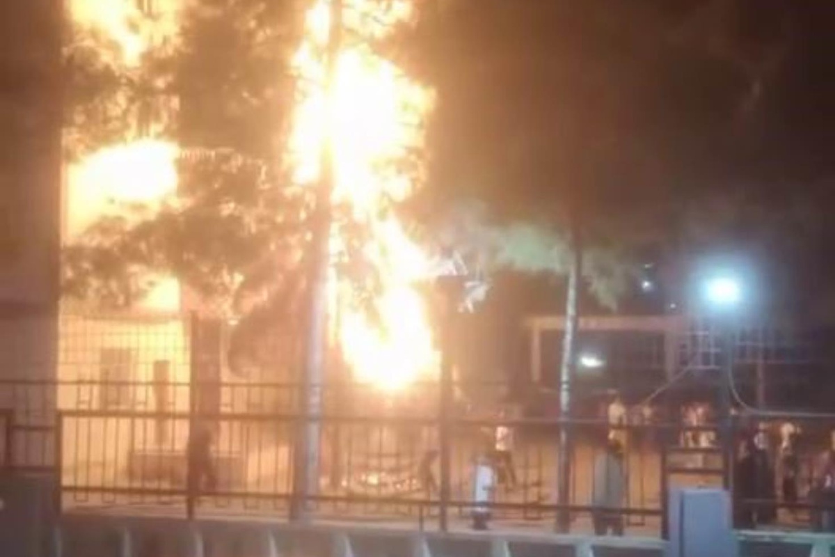 Diyarbakır’da havai fişek ağaçta yangına neden oldu