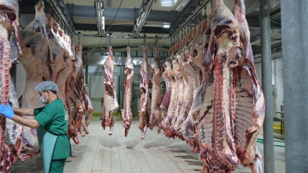 Et Kesim Fiyatları: UKON 594 Lira Açıkladı, Sahada Farklı