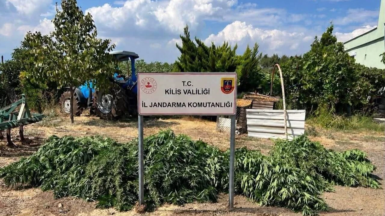Kilis’te uyuşturucu operasyonu: 40 kilo esrar ele geçirildi