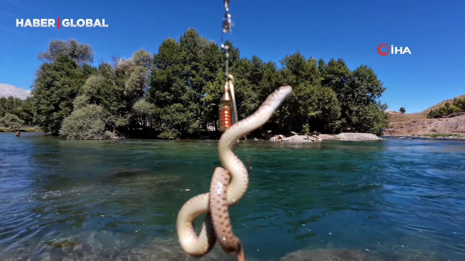 Munzur Nehri’nde oltaya balık yerine su yılanı takıldı