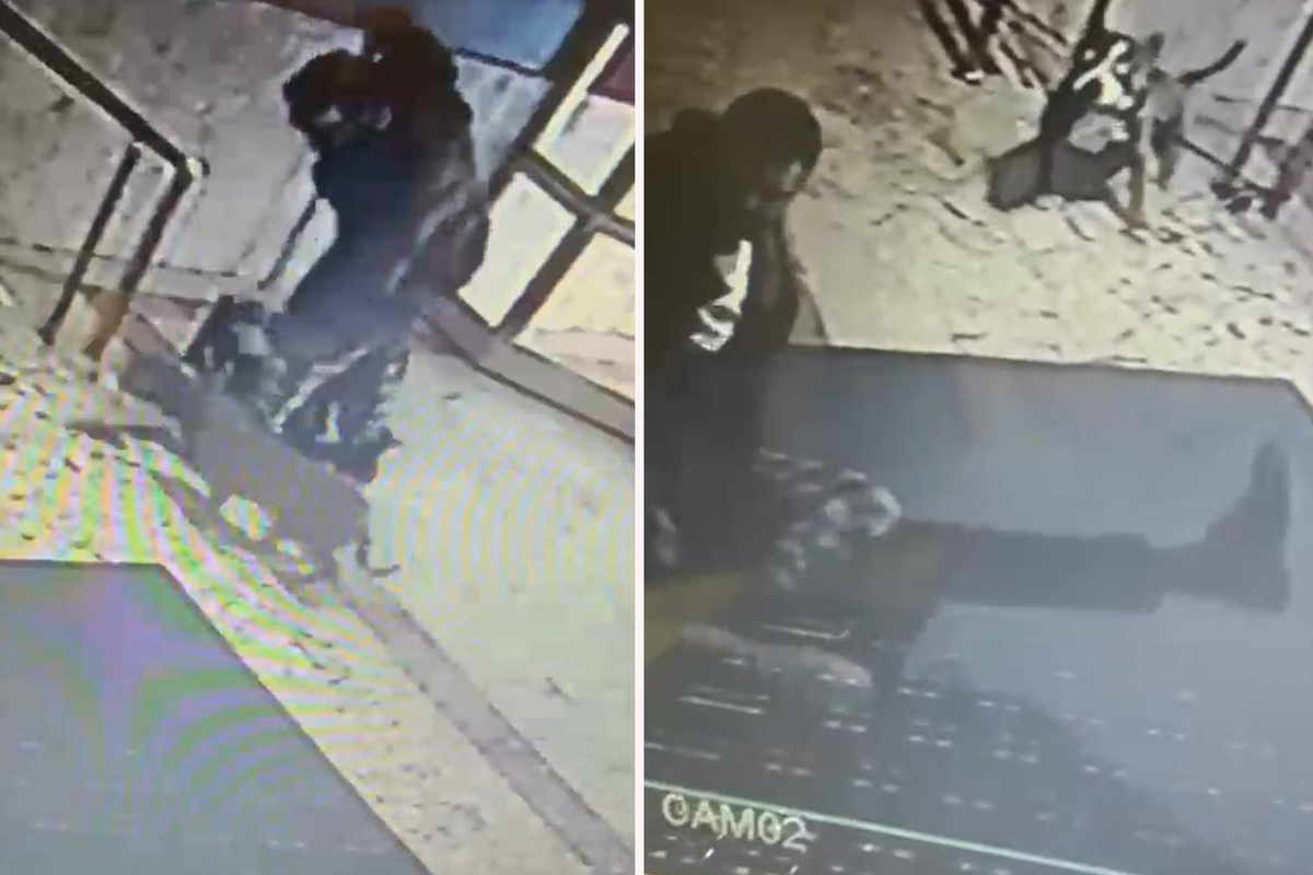 Pitbull saldırısı Erzurum’da site sakinlerini sokağa döktü