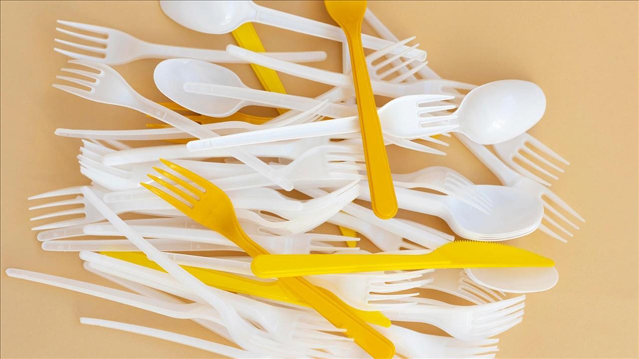 BPA, güvenli dozda bile insülin duyarlılığını düşürüyor