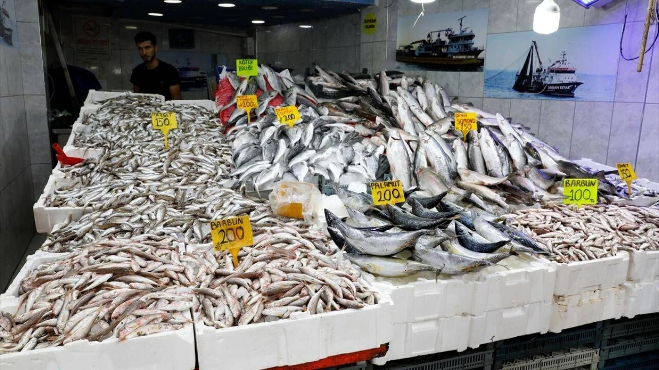 İstanbul’da balık tezgahları avla birlikte bereketlendi