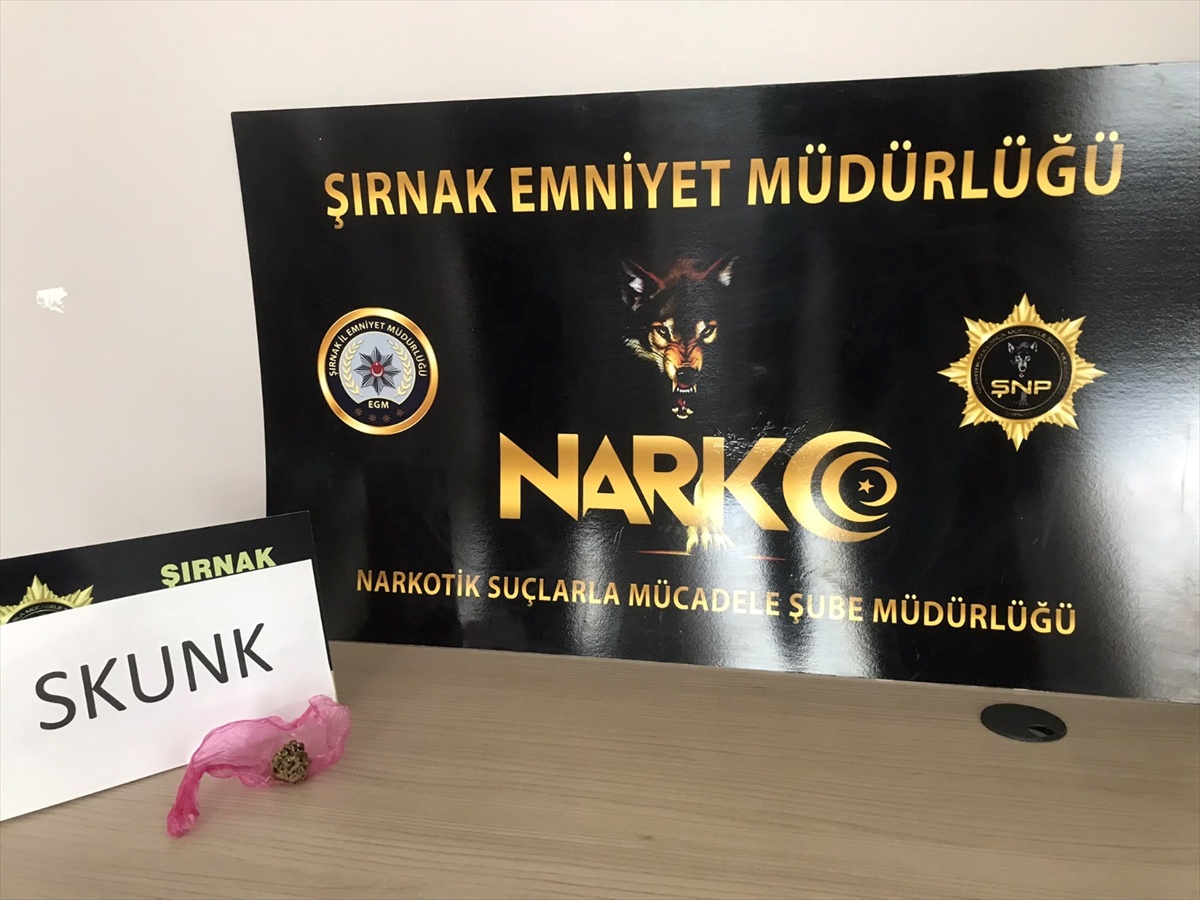 Şırnak’ta kaçakçılık ve asayiş operasyonları: 36 işlem