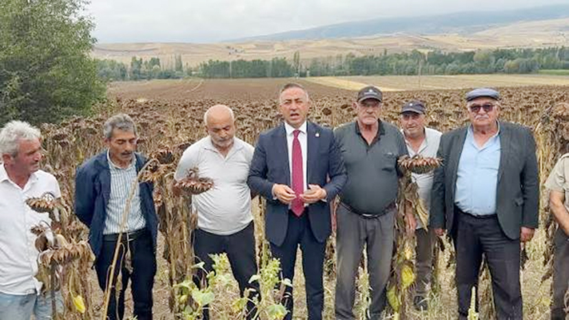 Ayçiçeği üreticisi ithalat kararına tepki gösterdi