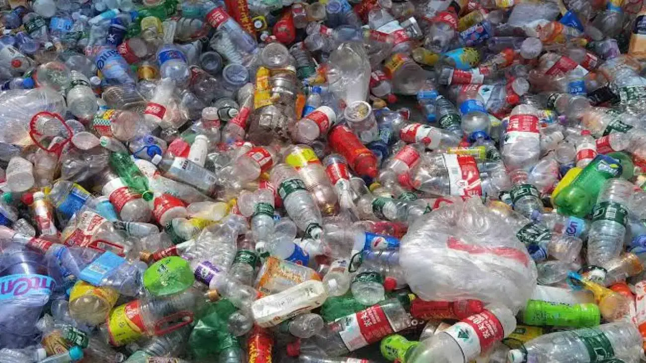 Geri dönüşüm malzemeleriyle 2 yılda 56 bin avro kazandı