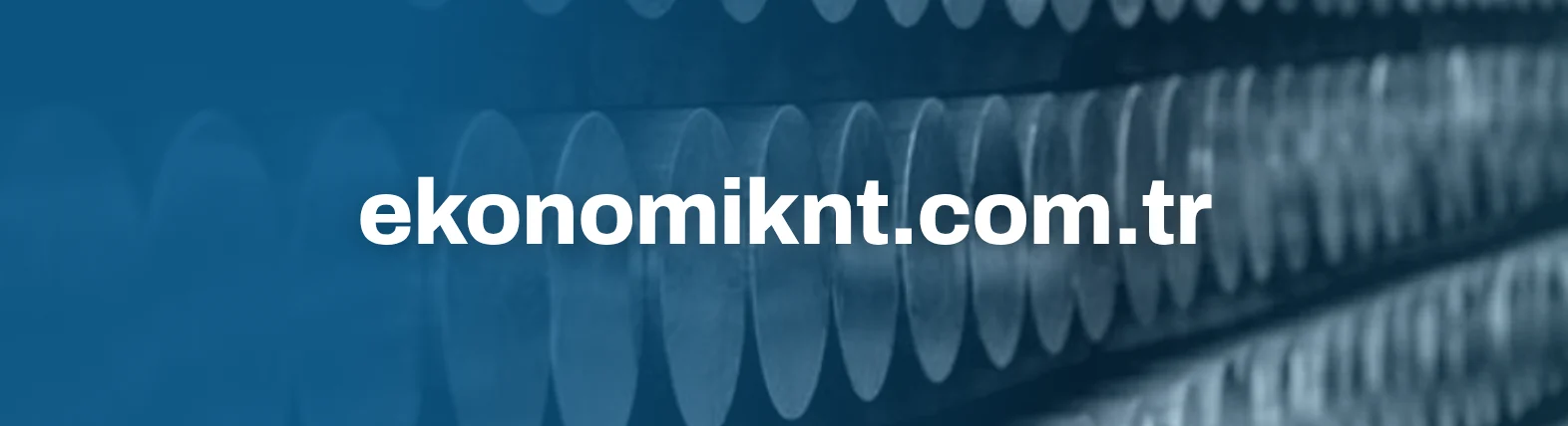 ekonomiknt.com.tr