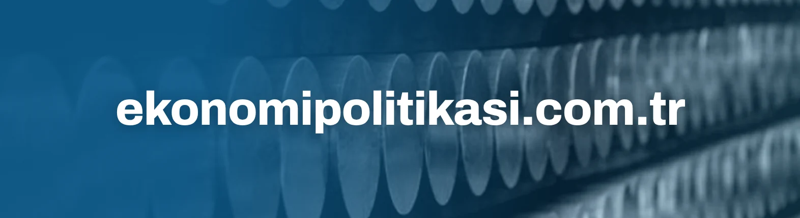ekonomipolitikasi.com.tr