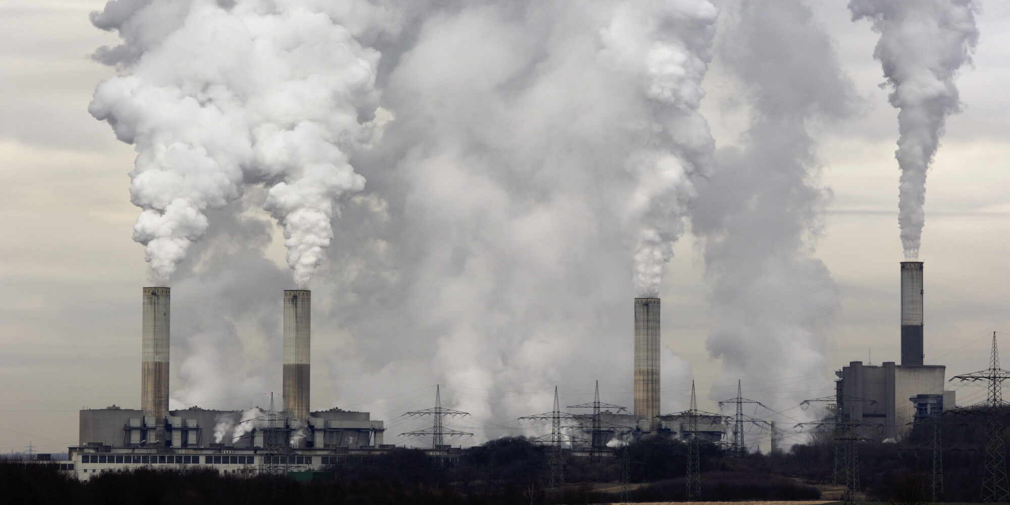 COP31 Ev Sahibine Çağrı: Türkiye Somut Adım Atmalı